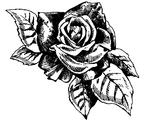 Выращиваем любимые розы - i_007.png