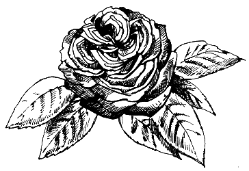 Выращиваем любимые розы - i_008.png
