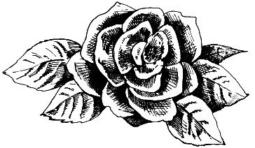 Выращиваем любимые розы - i_009.png