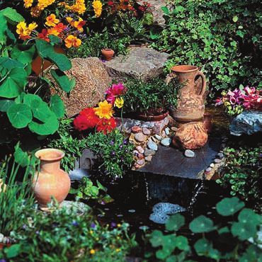 Лианы - i_005.jpg