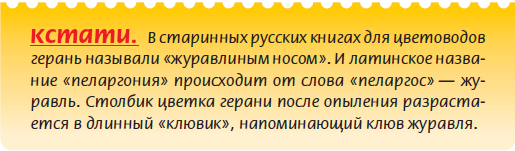 Луковичные растения - i_001.png