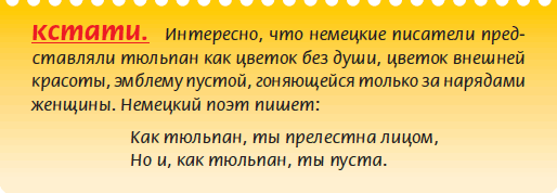 Луковичные растения - i_018.png