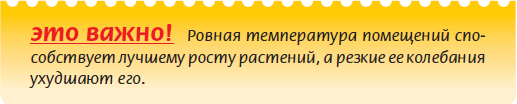 Луковичные растения - i_030.png