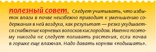 Луковичные растения - i_032.png