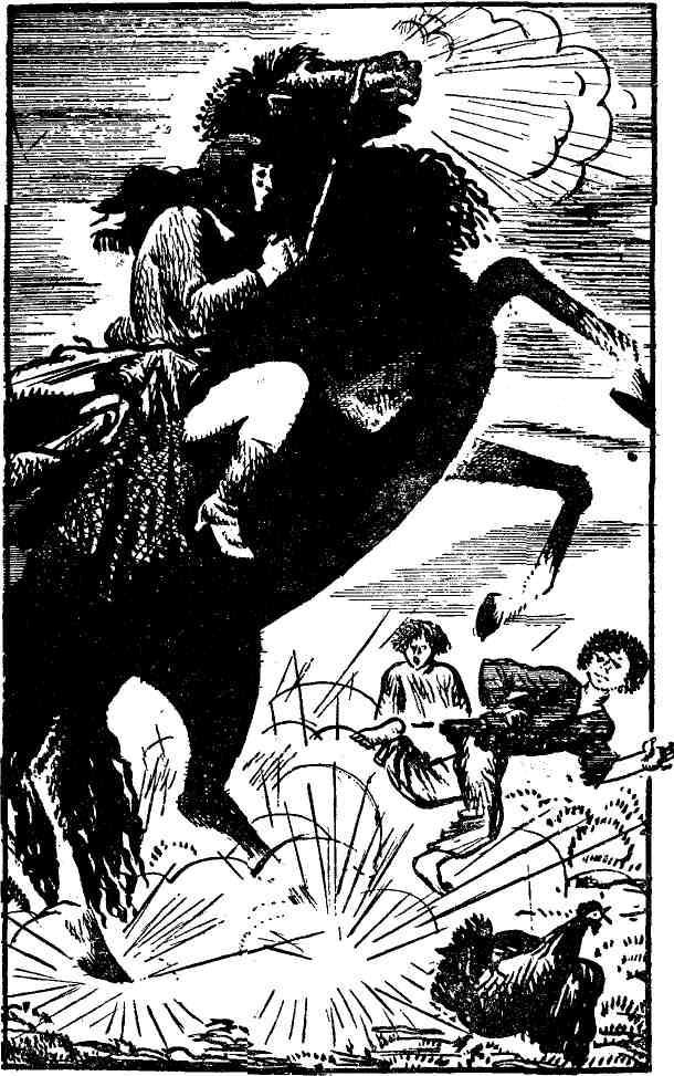 Тихий гром. Книги первая и вторая - img_14.jpeg