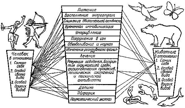 Тигр под наркозом - image1453.png