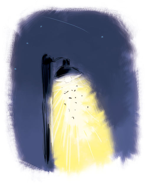 Знаменитый сыщик Калле Блюмквист рискует - i_022.jpg