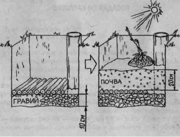 Умный виноградник для себя - _13.jpg