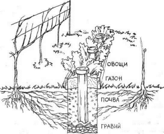 Умный виноградник для себя - _15.jpg