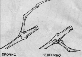 Умный виноградник для себя - _23.jpg