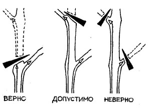 Умный виноградник для себя - _24.jpg