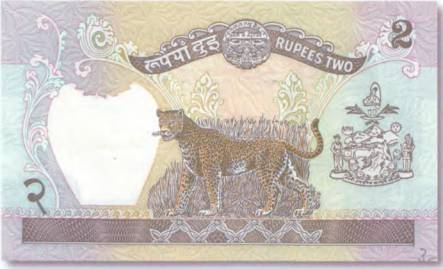 История банкнот : тайны бумажных денег - pic_216.jpg