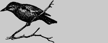 Заповедными тропами - img017.png