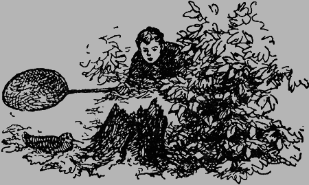 Заповедными тропами - img018.png