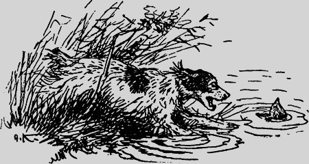 Заповедными тропами - img028.png