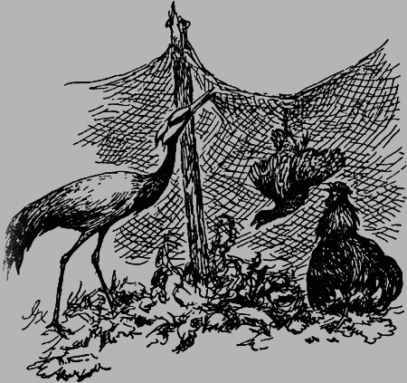 Заповедными тропами - img032.png