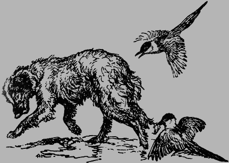 Заповедными тропами - img056.png