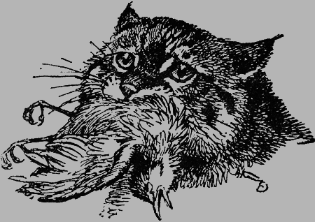 Заповедными тропами - img073.png