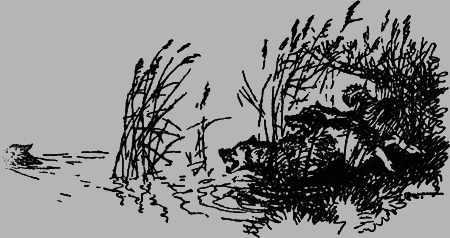 Заповедными тропами - img081.png