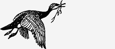 Заповедными тропами - img087.png