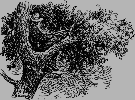 Заповедными тропами - img088.png