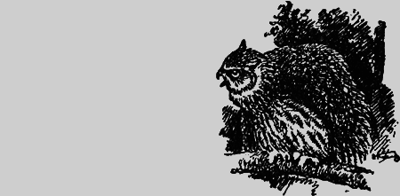 Заповедными тропами - img089.png