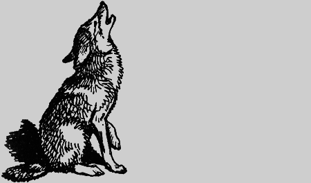 Заповедными тропами - img090.png