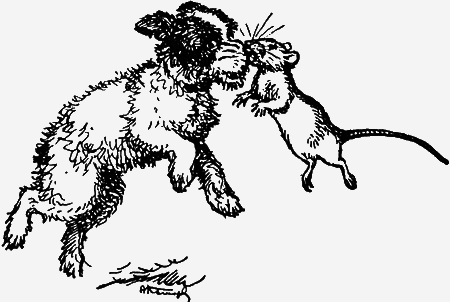 Заповедными тропами - img136.png