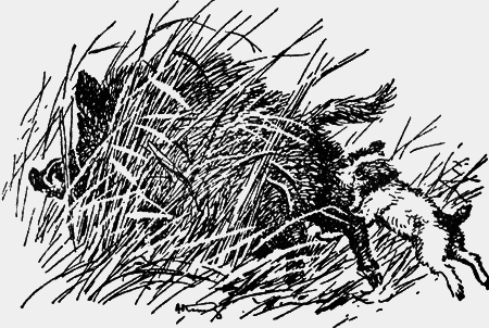 Заповедными тропами - img137.png