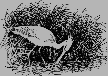 Заповедными тропами - img149.png