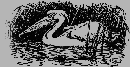 Заповедными тропами - img150.png