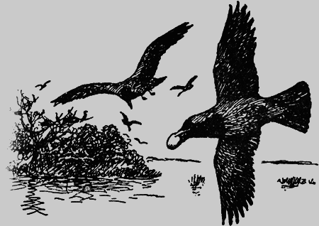 Заповедными тропами - img153.png