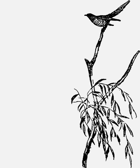 Заповедными тропами - img158.png