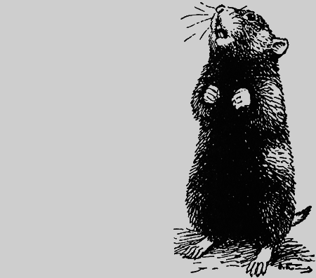 Заповедными тропами - img174.png