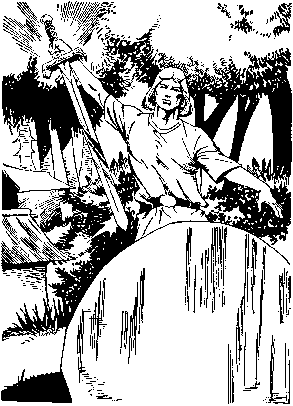 Король Артур и рыцари круглого стола - i_014.png