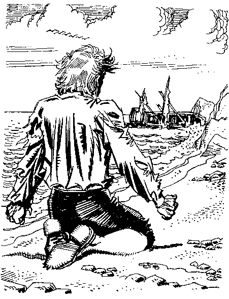 Приключения Робинзона Крузо (илл.) - i_013.png