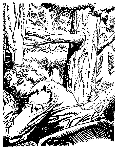 Приключения Робинзона Крузо (илл.) - i_014.png