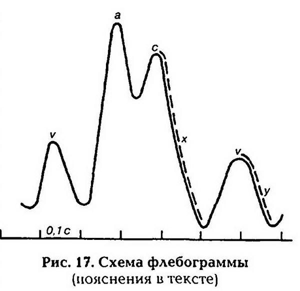 Нормальная физиология - _18.jpg