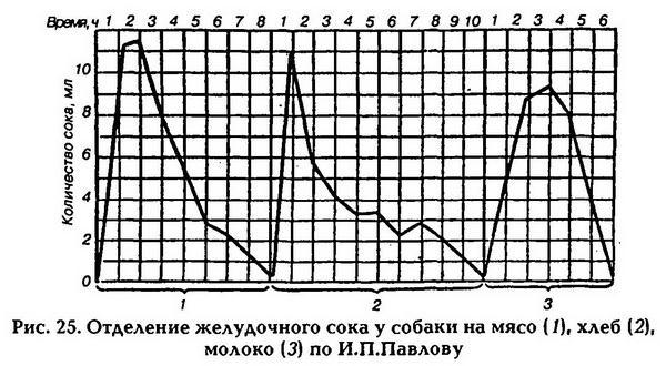 Нормальная физиология - _26.jpg