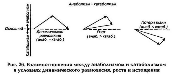 Нормальная физиология - _27.jpg