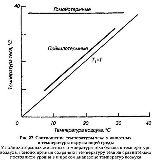 Нормальная физиология - _28.jpg