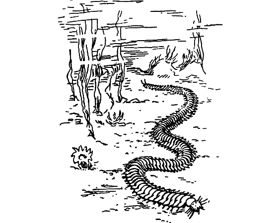 Путешествие в страну нектара - i_055.png