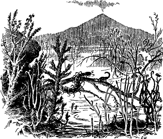 Путешествие в страну нектара - i_057.png