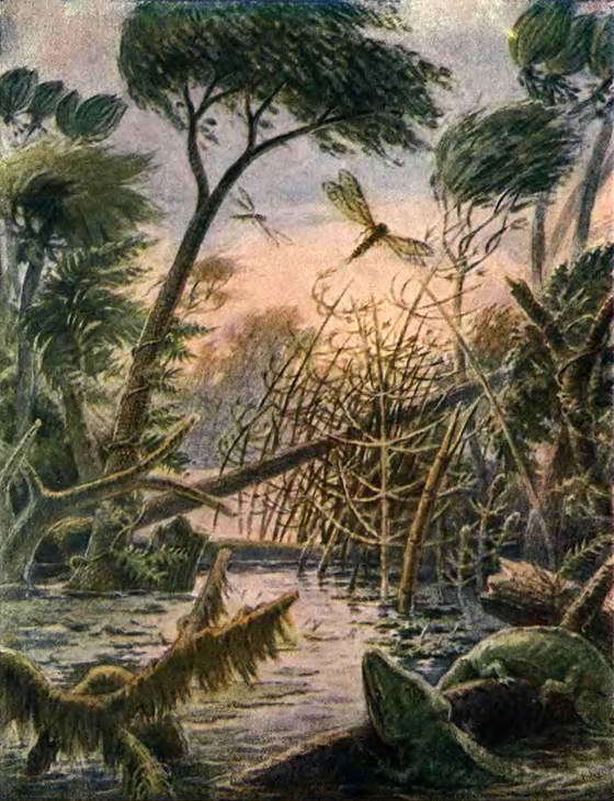 Путешествие в страну нектара - i_058.jpg