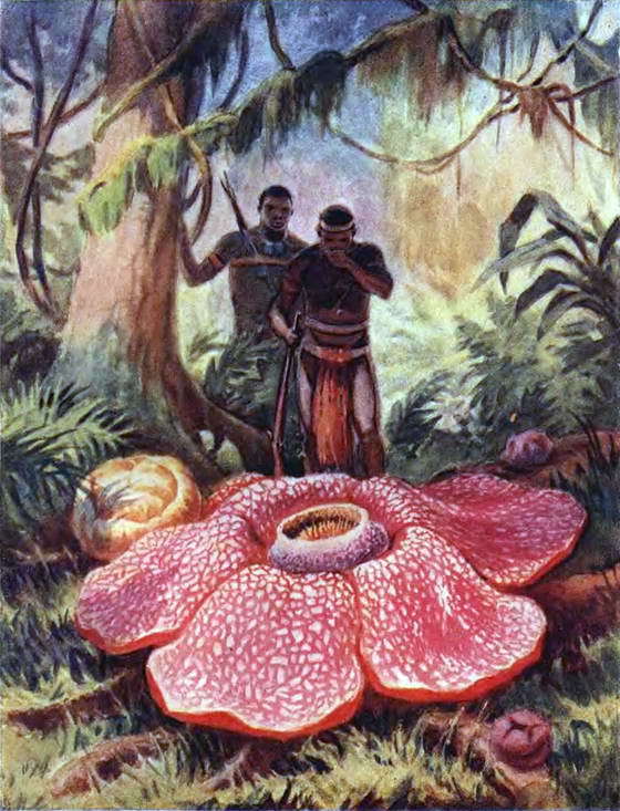 Путешествие в страну нектара - i_127.jpg