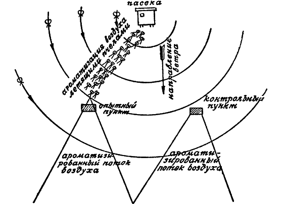 Путешествие в страну нектара - i_181.png