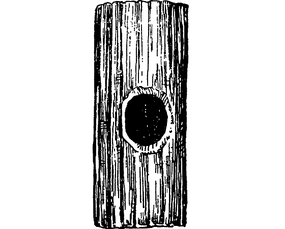 Путешествие в страну нектара - i_184.png