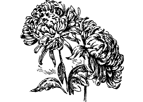 Путешествие в страну нектара - i_197.png