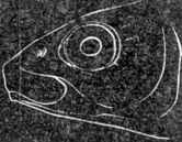 Рыбы России. Том первый - _72.jpg_0