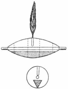 Рыбы России. Том второй - _66.jpg
